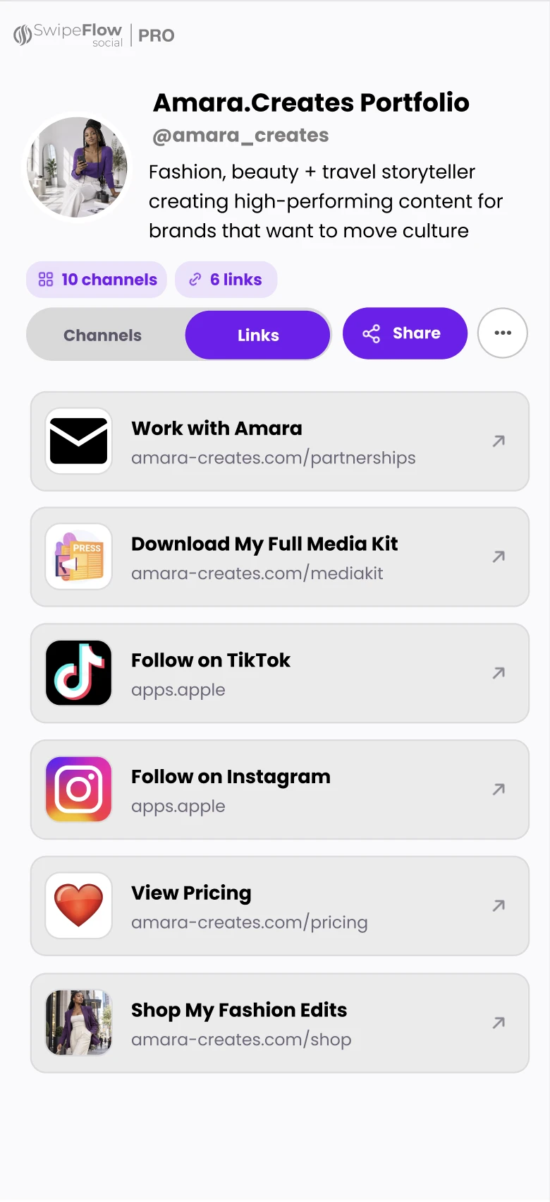 Illustrative business links in an Amara.Creates SwipeFlow Pro portfolio
